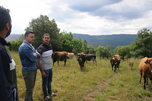 El conselleiro de Medio Rural, José González, visita la aldea modelo de Meixide, en A Veiga (Ourense)