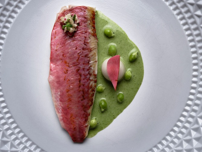 Salmonete en su salsa de algas, chu00edcharo e hinojo