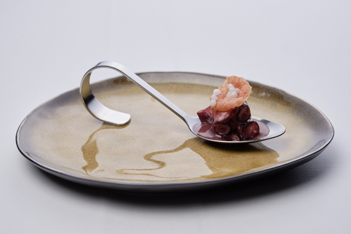 Pulpo de Lira en su jugo y crujiente2