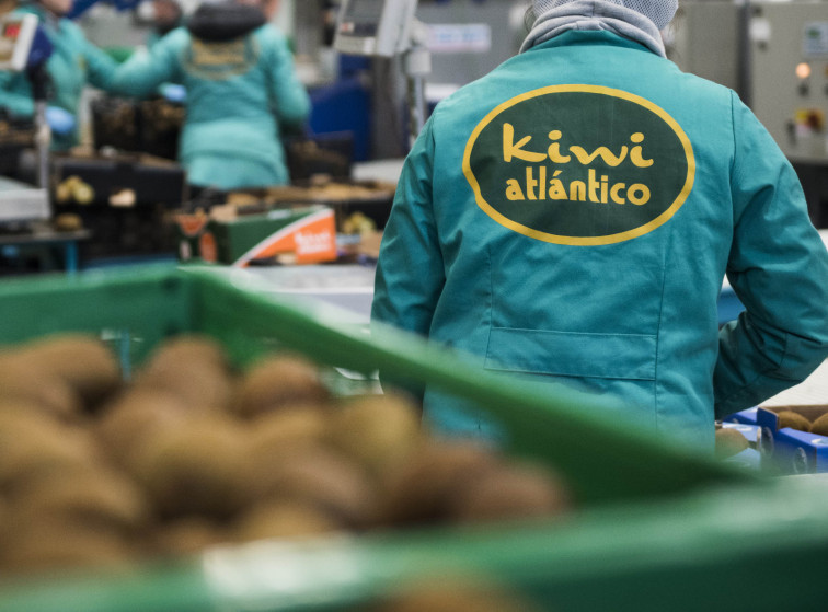 La gallega 'Kiwi Atlántico' crece con el refuerzo de sus instalaciones: más espacio y nuevas máquinas