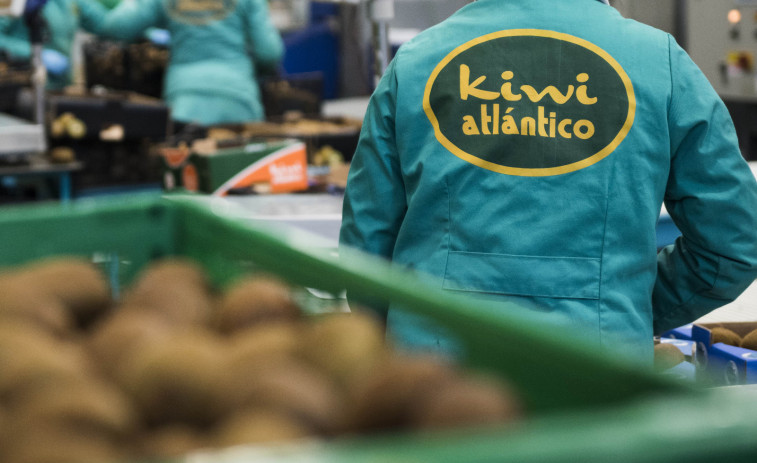 La gallega 'Kiwi Atlántico' crece con el refuerzo de sus instalaciones: más espacio y nuevas máquinas