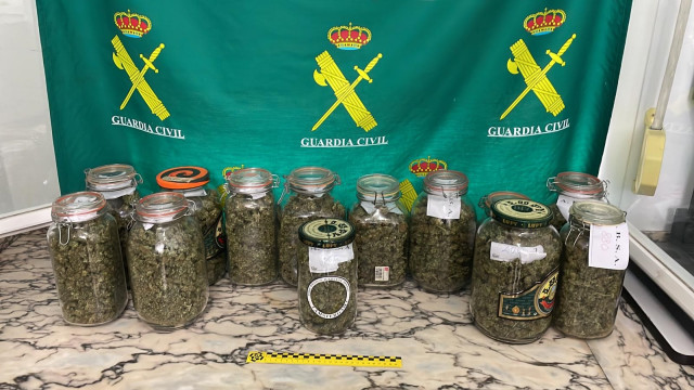 Material intervenido a una vecina de Ferreira do Valadouro (Lugo) detenida por una plantación de cannabis con 290 esquejes y plantas.