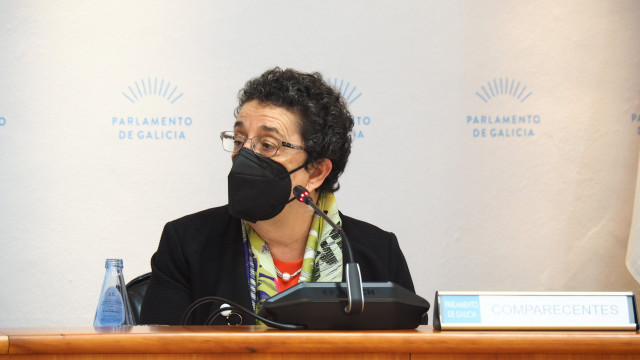 La presidenta electa del CCG, Rosario Álvarez, durante su comparecencia parlamentaria.