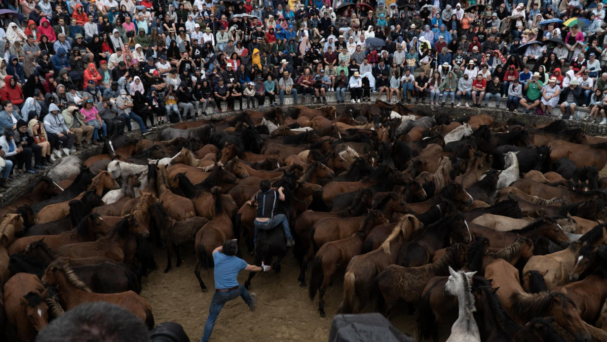 Los aloteiros se acercan a los caballos en el castro durante la Rapa das Bestas 2022, a 3 de julio de 2022, en Sabucedo, Pontevedra, Galicia.