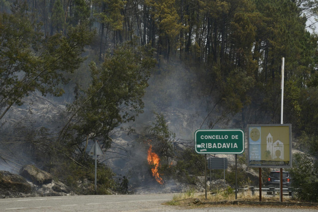 Un bosque en llamas, a 13 de julio de 2022, en Ribadavia, Ourense, Galicia (España).  Un incendio forestal permanece activo desde la noche del 11 de julio en el municipio ourensano de Ribadavia, donde han ardido ya unas 20 hectáreas. El fuego, según han i