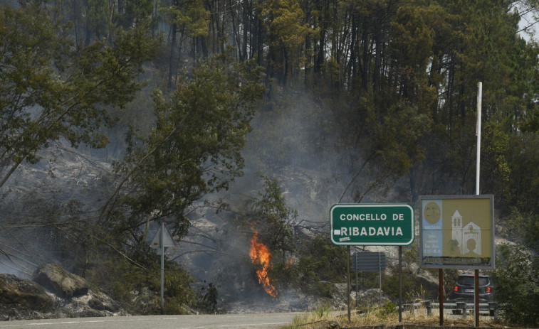 Controlado uno de los dos incendios de Melón pero ya han ardido más de 150 hectáreas allí y en Ribadavia