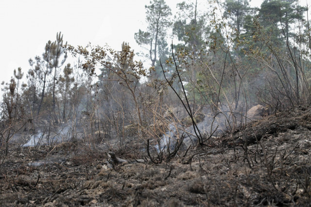 Efectivos durante las labores de extinción de un incendio, a 16 de julio de 2022, en A Pobra do Brollón, Lugo, Galicia.