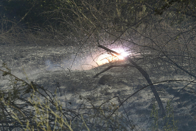 Vista de un incendio en Tarascón, a 21 de julio de 2022, en Tarascón, Ourense, Galicia (España).