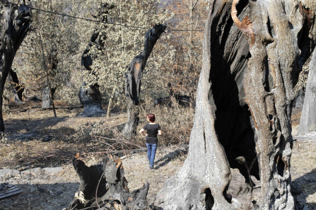 Voluntarios observan los daños causados en la Sierra do Courel por los incendios.