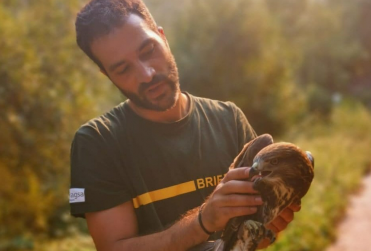 Los tres mayores incendios de Galicia siguen sin control 10 días después aunque ya no están desbocados