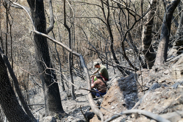 Voluntarios observan exhaustos los daños causados en la Sierra de Caurel tras el incendio, a 23 de julio de 2022, en Lugo, Galicia.