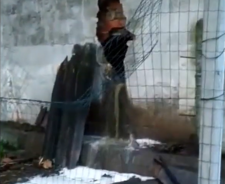 Vertido de Puru00edn en una imagen de la Asociaciu00f3n Ecologista Arco Iris