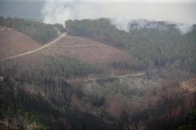 Un incendio, a 15 de julio de 2022, en Quiroga, Lugo, Galicia (España). Permanece activo desde las 20,29 horas de este jueves un incendio en la parroquia de Outeiro, que según las últimas estimaciones afecta a una superficie de 200 hectáreas. Para su cont