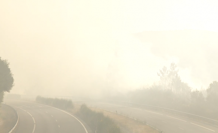 Un incendio forestal corta la autovía entre Vigo y Ourense a la altura de A Cañiza