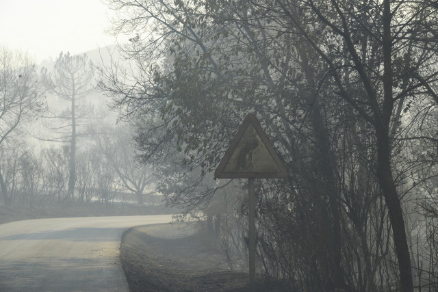 Una señal de tráfico en una de las zonas vegetales afectadas por un incendio en Verín, a 3 de agosto de 2022, en Verín, Ourense, Galicia (España). Un incendio forestal que permanece activo desde las 14,52 horas de este miércoles en Verín (Ourense) ha obli
