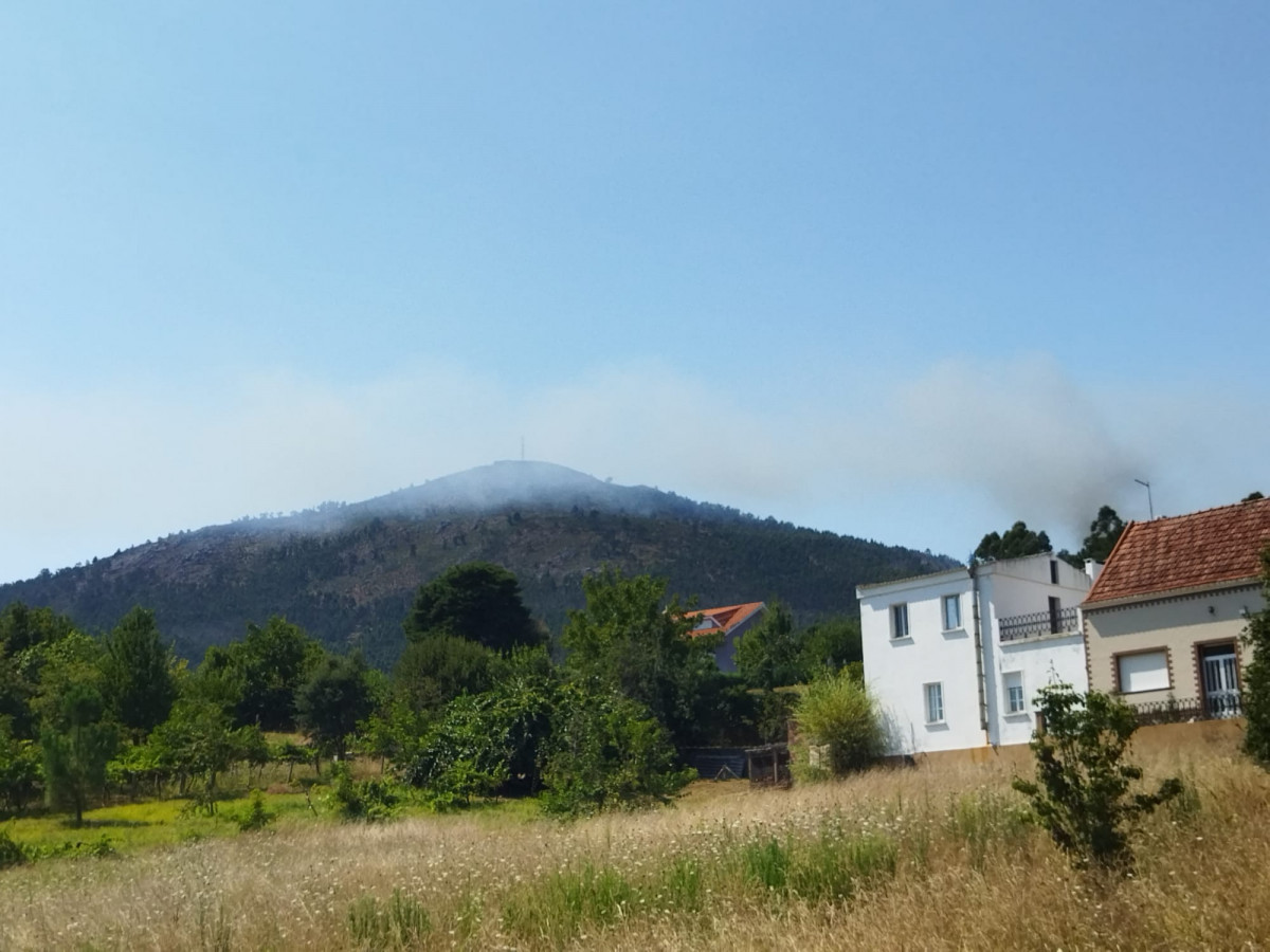 WhatsApp Image 2022 08 08 at 4.19.08 PM