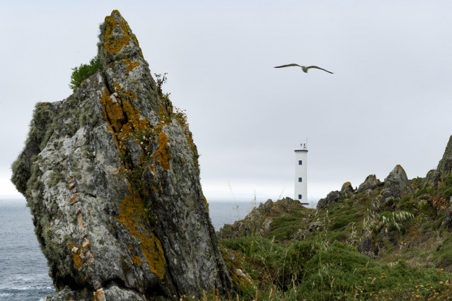 Archivo - Un pájaro sobrevuela el Faro de Cabo Home, a 22 de junio de 2013, en Cangas, Pontevedra, Galicia, (España). Como cada 7 de agosto se celebra el Día Mundial de los Faros, una festividad destinada a promover el cuidado y la preservación de una con