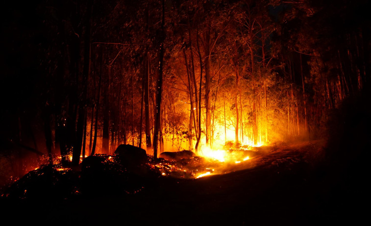 Nueve incendios permanecen activos en Galicia, muchos intencionados que han arrasado unas 3.700 hectáreas