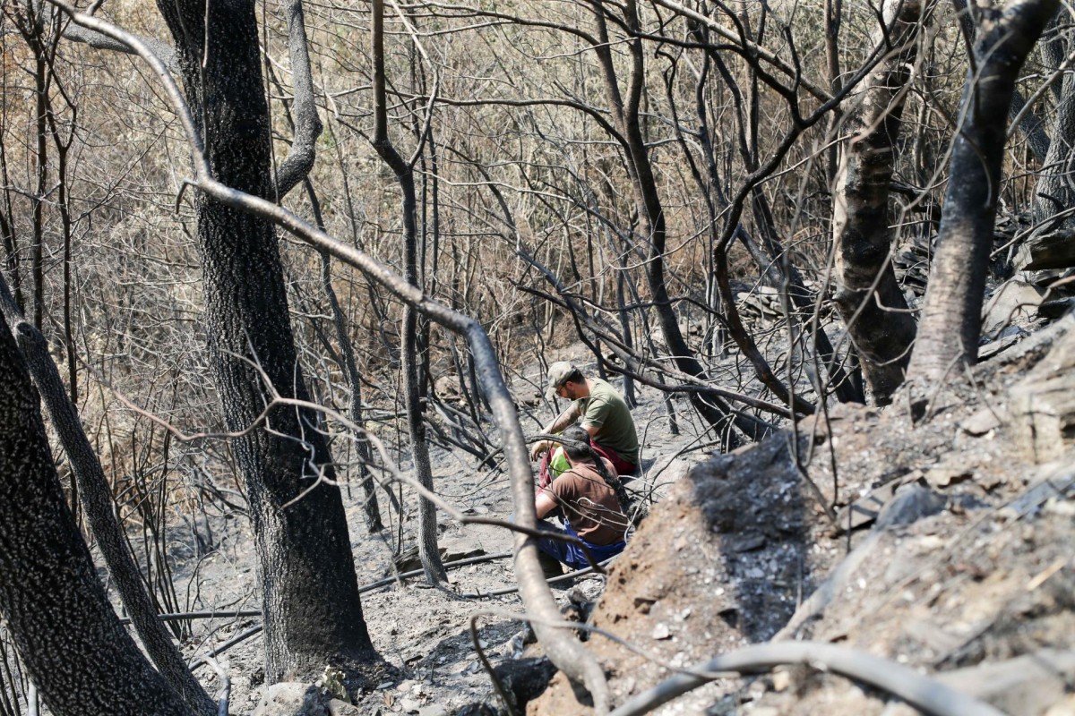 Voluntarios observan exhaustos los daños causados en la Sierra de Caurel tras el incendio, a 23 de julio de 2022, en Lugo, Galicia, (España). Las hectáreas quemadas en la Sierra de O Courel se mant