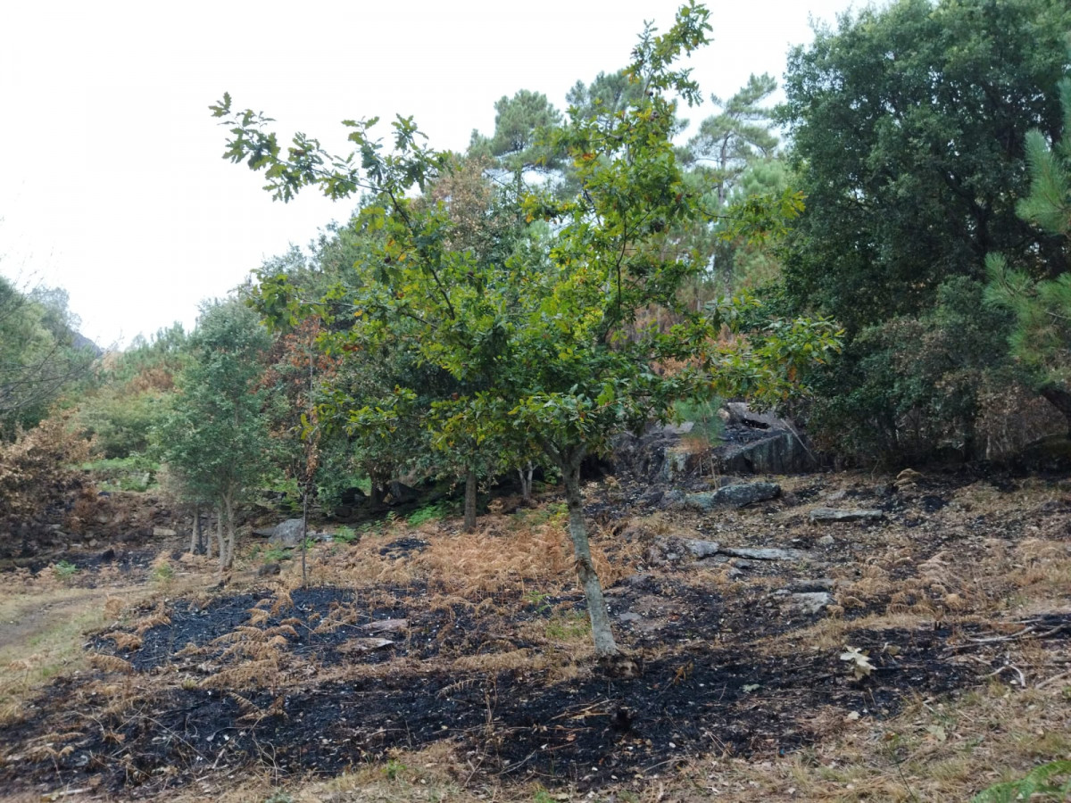 WhatsApp Image 2022 08 16 at 9.37.57 PM