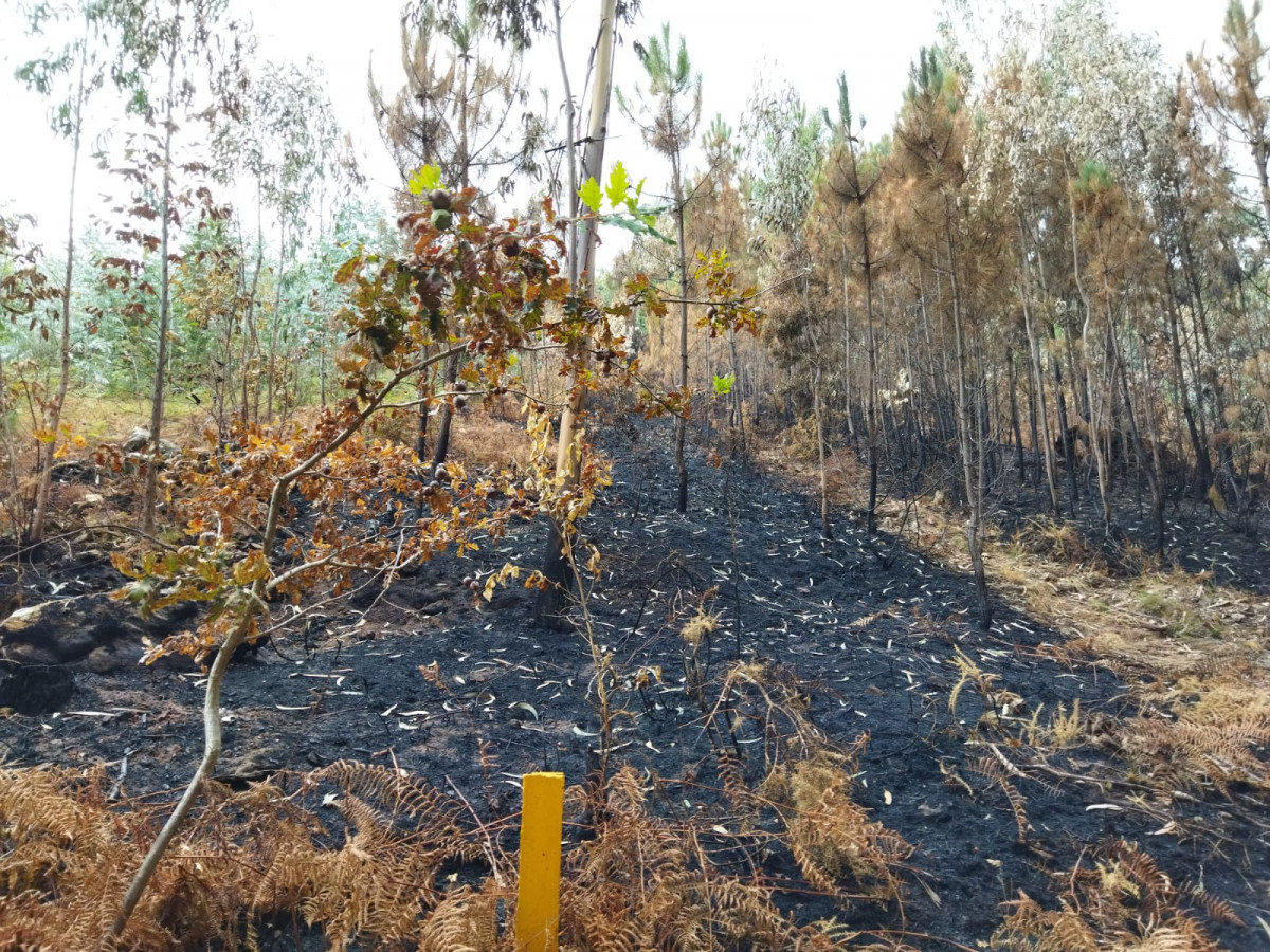 WhatsApp Image 2022 08 16 at 9.42.09 PM