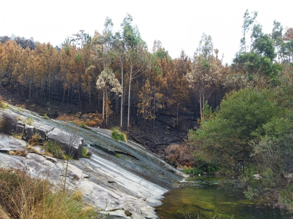 WhatsApp Image 2022 08 16 at 9.38.46 PM