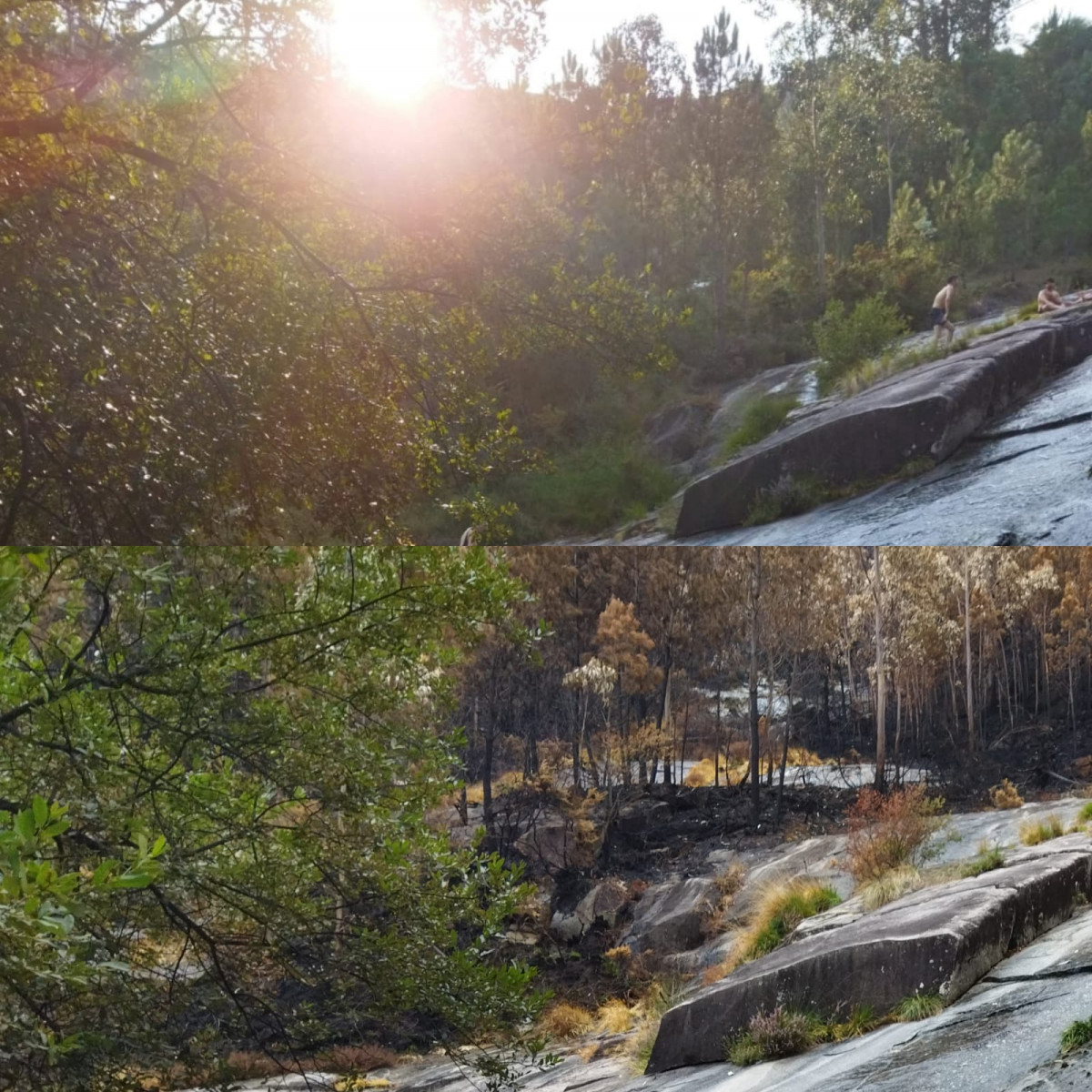 WhatsApp Image 2022 08 16 at 10.59.57 PM (1)