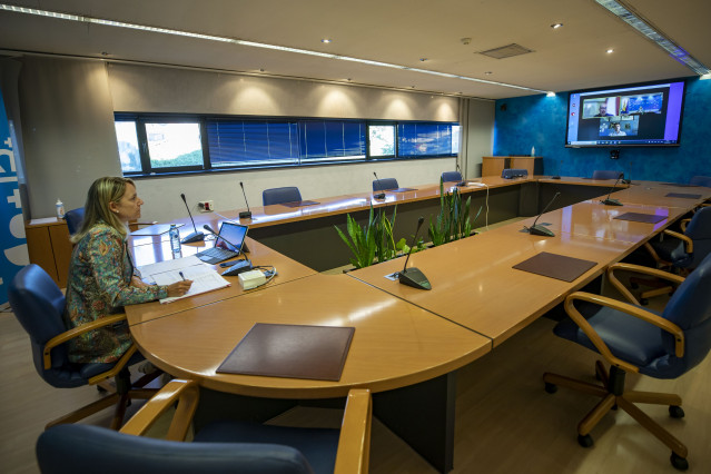 La secretarua general de Industria, Paula Uria, mantiene una reunión por videoconferencia con los representantes de la asociacion Acogen