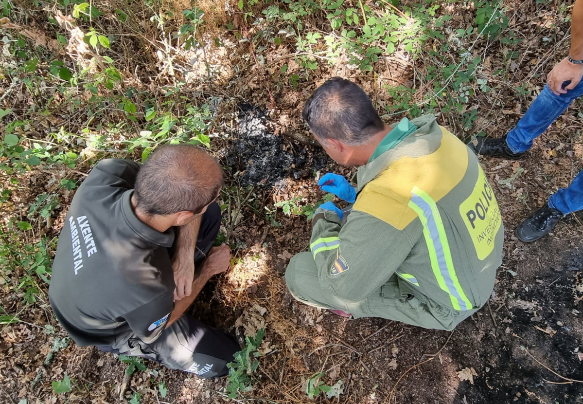 Una mujer identificada cuando llevaba pastillas de encendido y un mechero para presuntamente prender fuego en un monte de Amoeiro (Ourense)