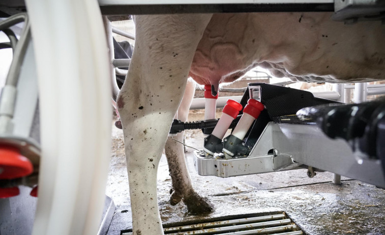 Galicia sigue a la cola del país en el precio de la leche