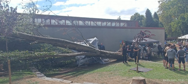 Árbol caído sobre un puesto del mercadillo del Barrio de las Flores (A Coruña), que no deja heridos