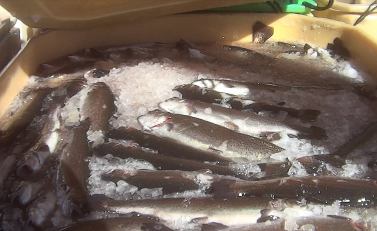 FFW apoya el veto a la pesca de arrastre y pide reconvertir el sector