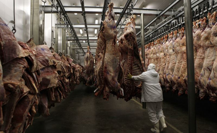 Cuatro empresas gallegas implicadas en la investigación de una trama de venta de carne 'en negro'