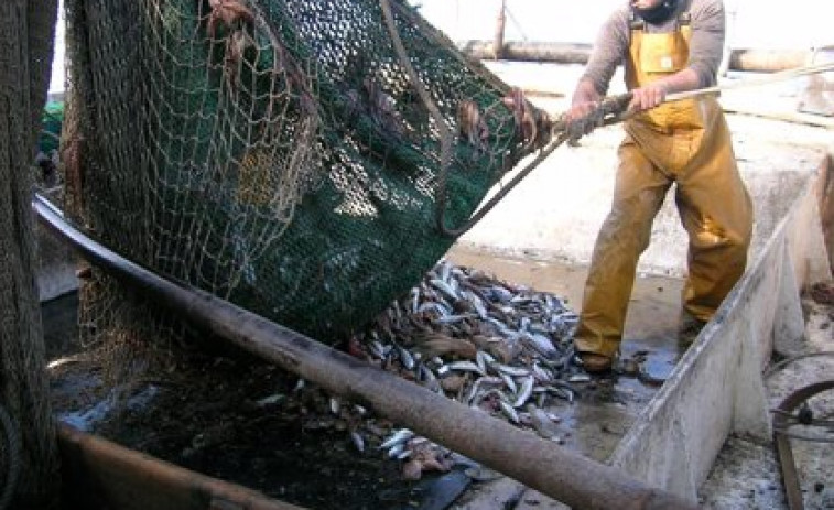 Los pescadores saldrán a las calles por el veto europeo a la pesca de arrastre, anuncia la Federación Nacional de Cofradías