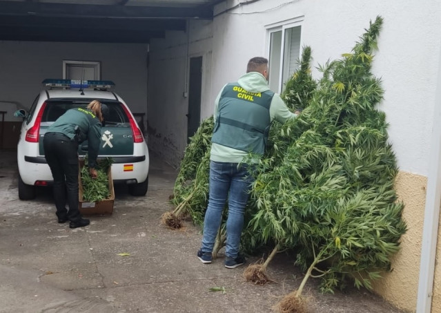 Incautación marihuana Ourense