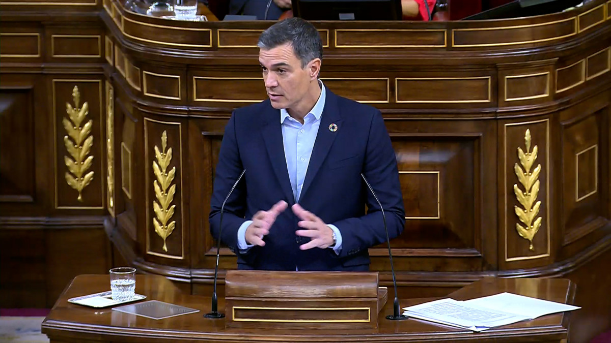 Pedro Su00e1nchez en el Parlamento anunciando las rebajas energu00e9ticas
