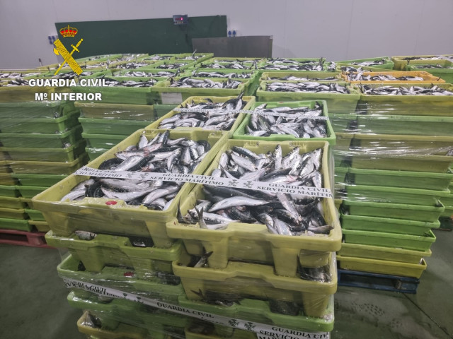 Incautados más de 5.000 kilos de sardina en Camariñas (A Coruña)