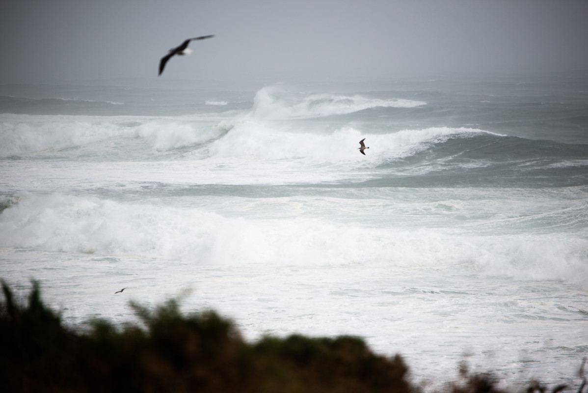 Dos gaviotas sobrevuelan el oleaje en la zona de Santa Maria de Oia hasta Cabo Silleiro, a 20 de octubre de 2022, en Pontevedra, Galicia, (España). La borrasca Armand es la primera de gran impacto de