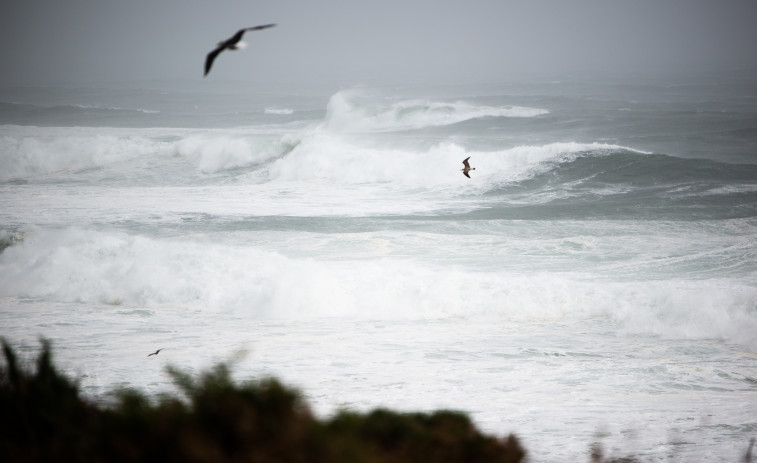 Alerta naranja por fuerte viento en varias comarcas de Galicia debido a una nueva borrasca