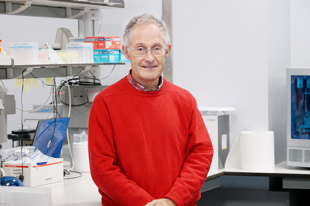 u00e1ngel carracedo usc