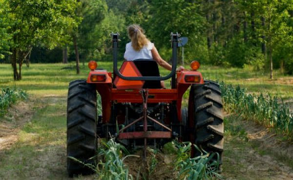 As gandeiras galegas, dobremente discriminadas
