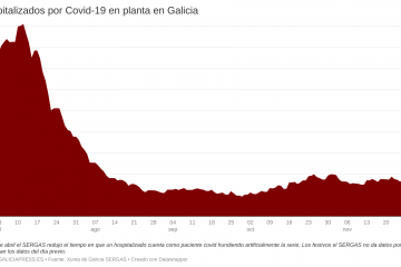 5wzk3 hospitalizados por covid 19 en planta en galicia  (20)