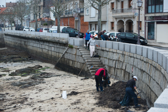 Voluntarios y agentes rurales de la zona recogen los restos de chapapote mezclados con algas, a 13 de diciembre de 2022, en Illa de Arousa, Pontevedra, Galicia (España). Por el momento se desconoce el origen del vertido de chapapote, pero fuentes municipa
