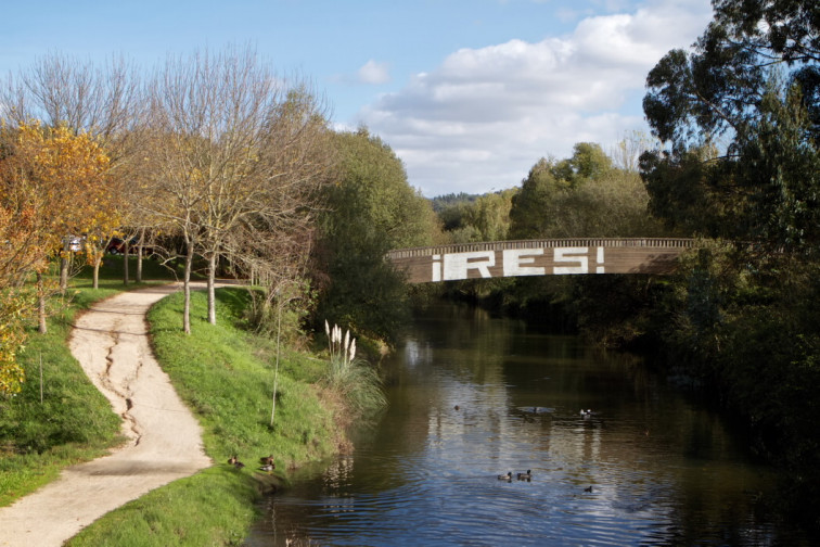 Un vertido envenena el Río Lagares