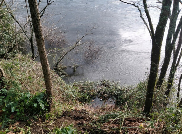 Rescatan en Tui (Pontevedra) a una mujer que cayó con sus tres perros al Miño por un talud de cuatro metros de altura.