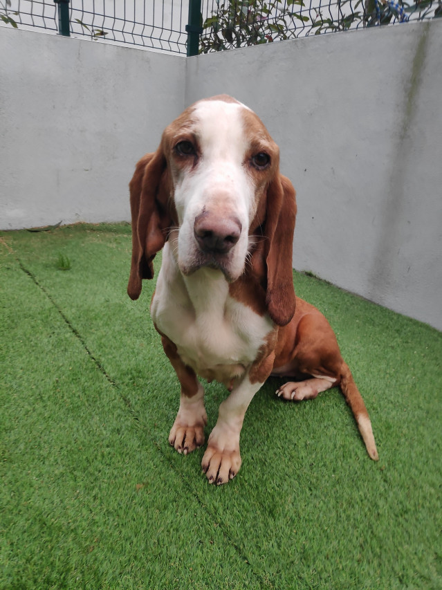 Np Depo Balance Caan