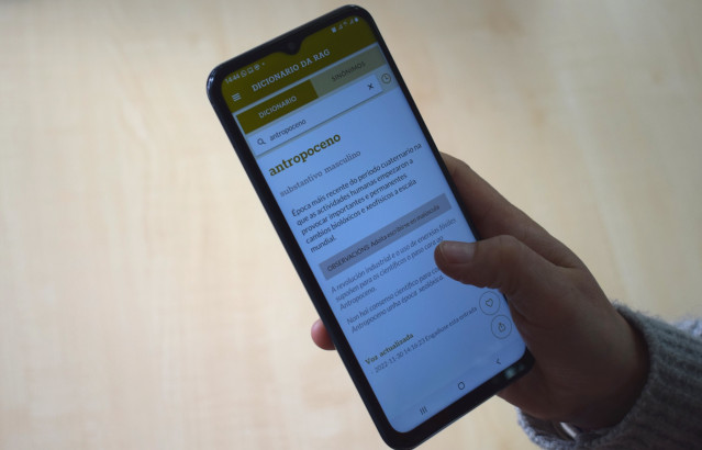 Aplicación diccionario de la RAG