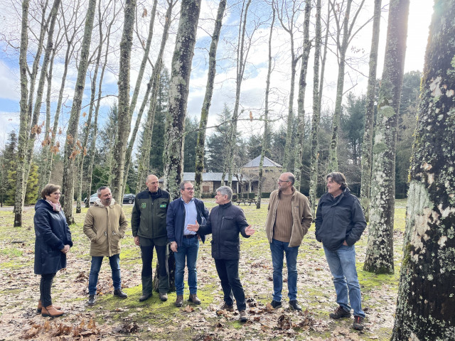 La Xunta avanza en la mejora del vivero forestal de Os Trollos para 