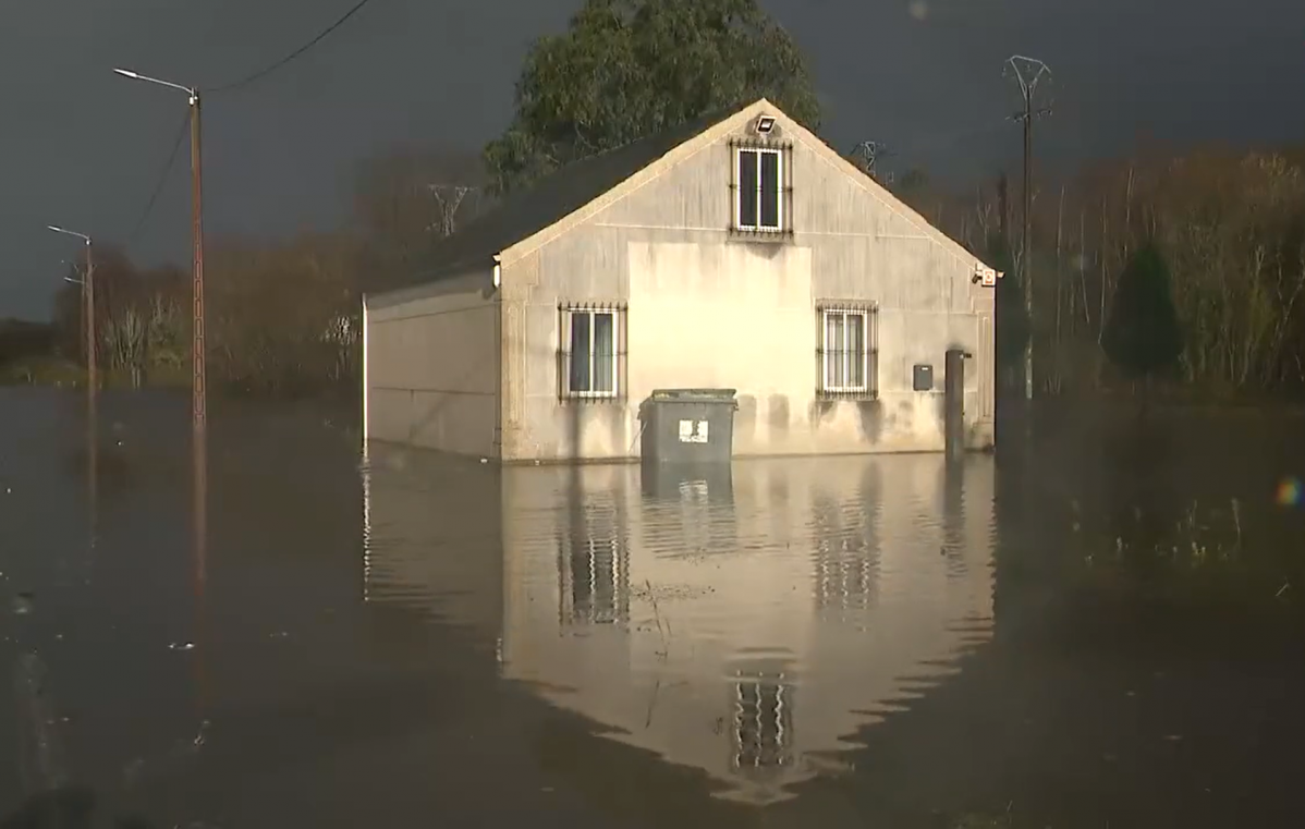 Begonte inundaciu00f3n g24