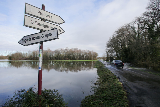 Un coche pasa al lado de vegetación afectada por el desbordamiento del río Miño a su paso por Triabá, a 3 de enero de 2023, en Castro de Rei, Lugo, Galicia (España). Las intensas lluvias caídas durante las fechas navideñas han provocado el desbordamiento